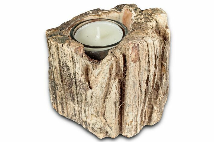 Polished Petrified Wood Candle Holder - Madagascar #337567